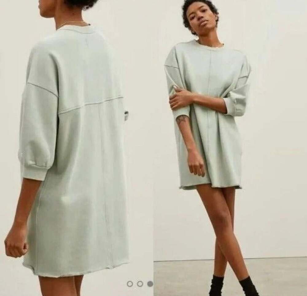 Everlane Organic Cotton Sweatshirt Dress Size S Soft Sage Green